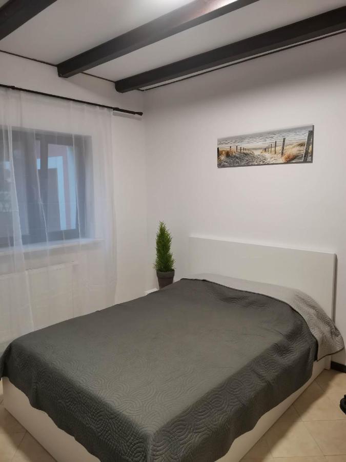 Urocze Studia W Lomiankach, 1- Z Sauna I Tarasem, 2- Z Kominkiem, 3- Ekonomiczne, 7Km Metro Mlociny Warszawa Łomianki Dış mekan fotoğraf