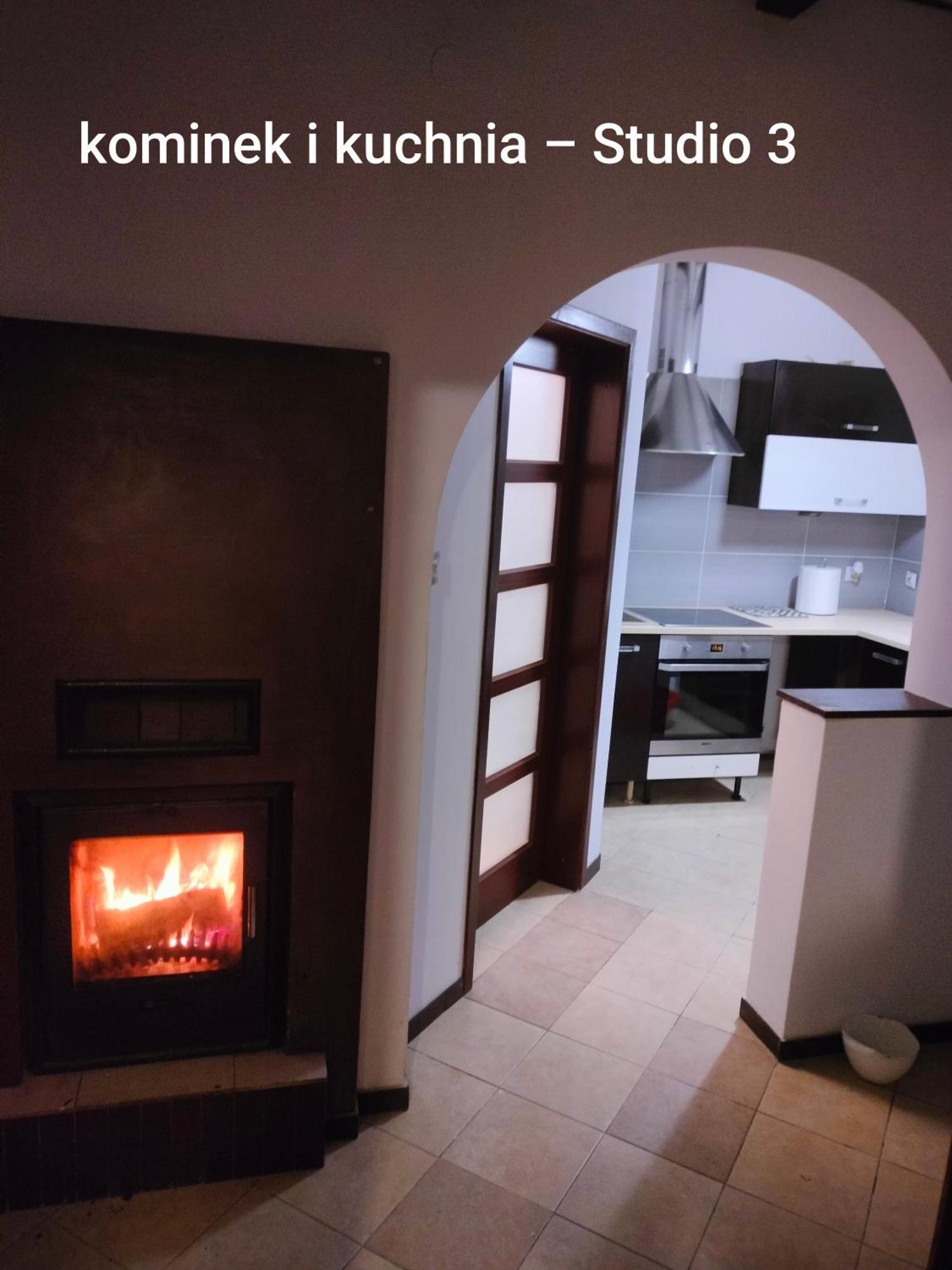 Urocze Studia W Lomiankach, 1- Z Sauna I Tarasem, 2- Z Kominkiem, 3- Ekonomiczne, 7Km Metro Mlociny Warszawa Łomianki Dış mekan fotoğraf